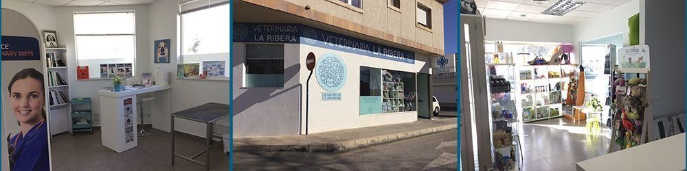 Tres tomas interiores y exteriores de un negocio: área de recepción, escaparate y un espacio comercial con plantas y exhibidores.