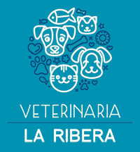 Logotipo para 