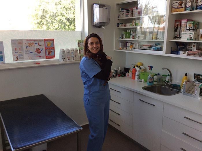 El veterinario sonríe en una sala de exámenes, vistiendo un uniforme azul, al lado de un lavabo, con suministros médicos.