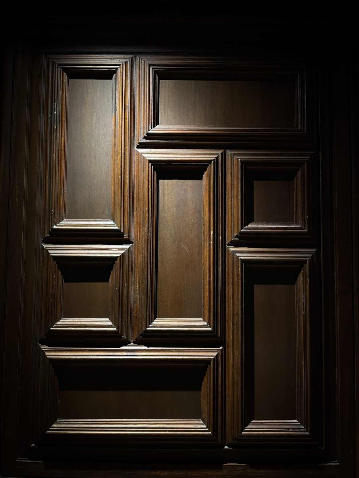 Puerta de paneles de madera oscura con moldura geométrica en relieve en la sombra.
