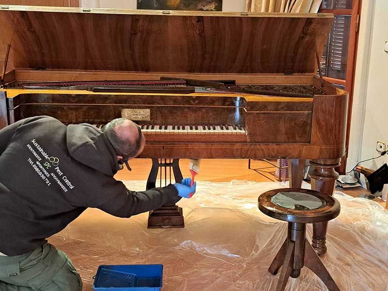 Καταπολέμηση ξυλοφάγων εντόμων (σαράκι) με επίχρισμα σε πίανο στη Ν. Ερυθραία