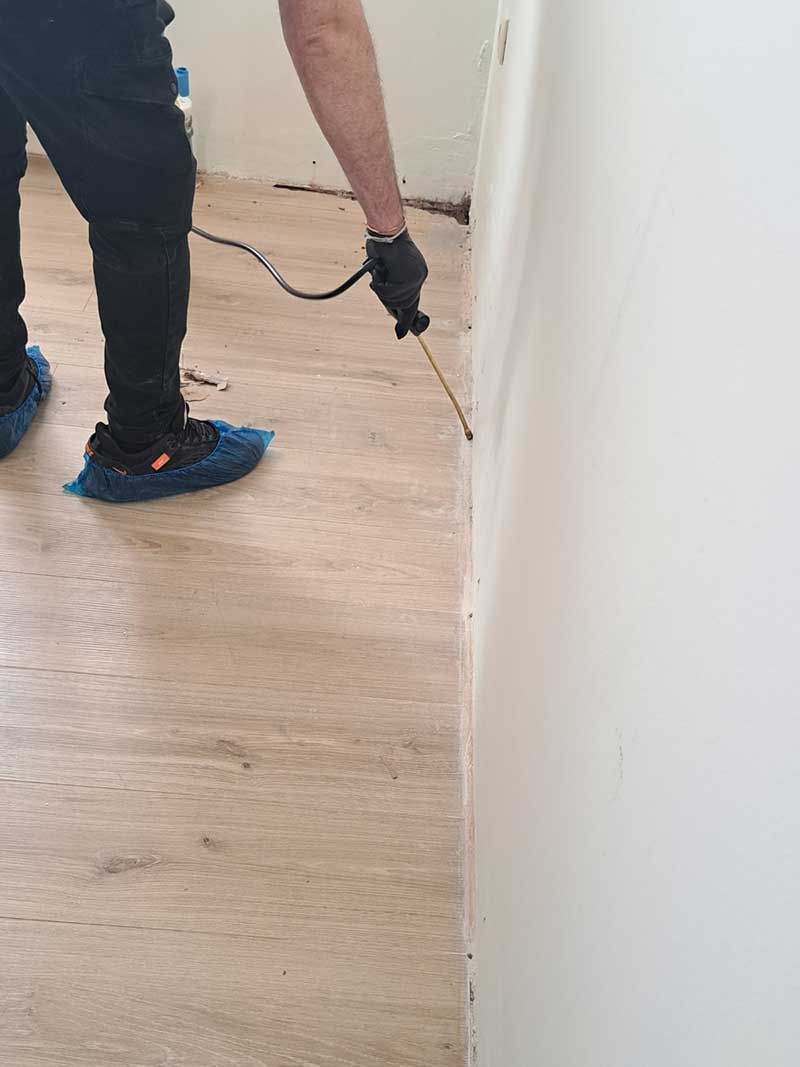 Καταπολέμηση Τερμιτών - Sustainable Pest Control