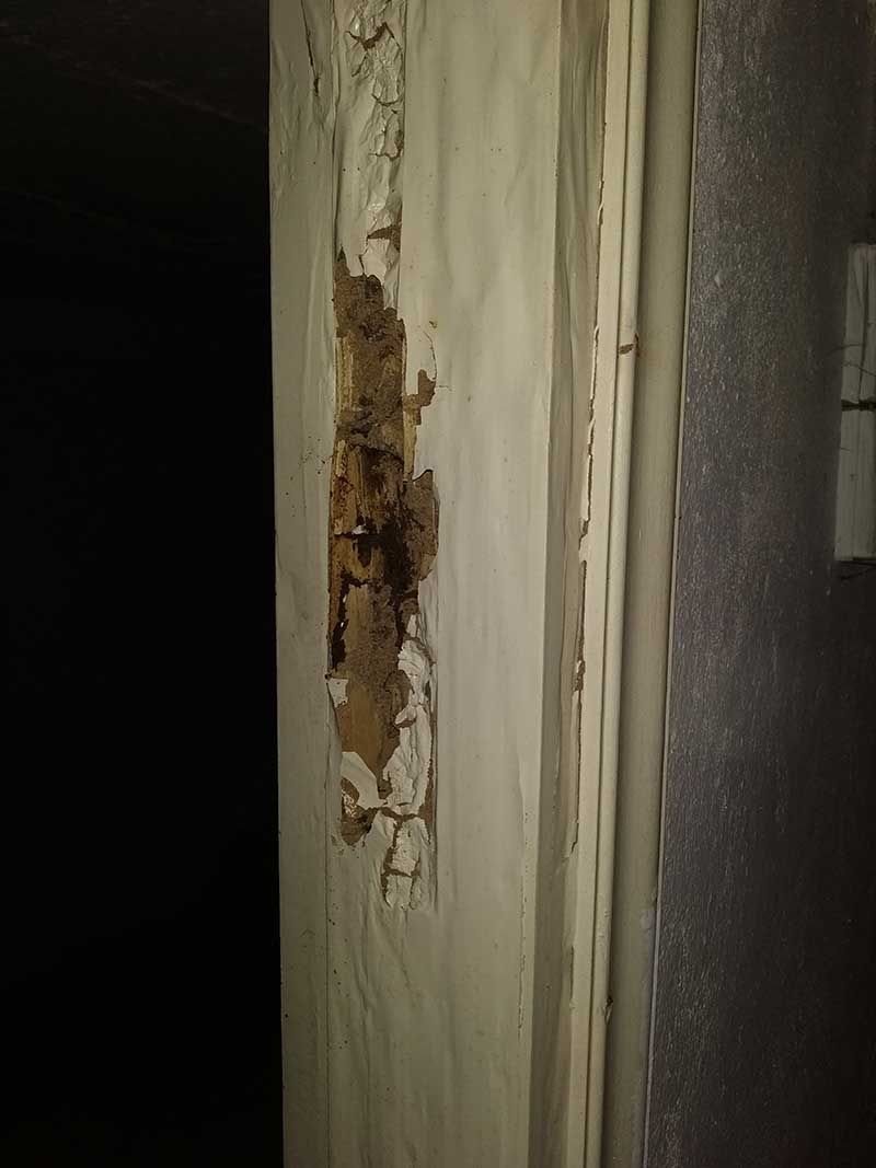 Καταπολέμηση Τερμιτών - Sustainable Pest Control