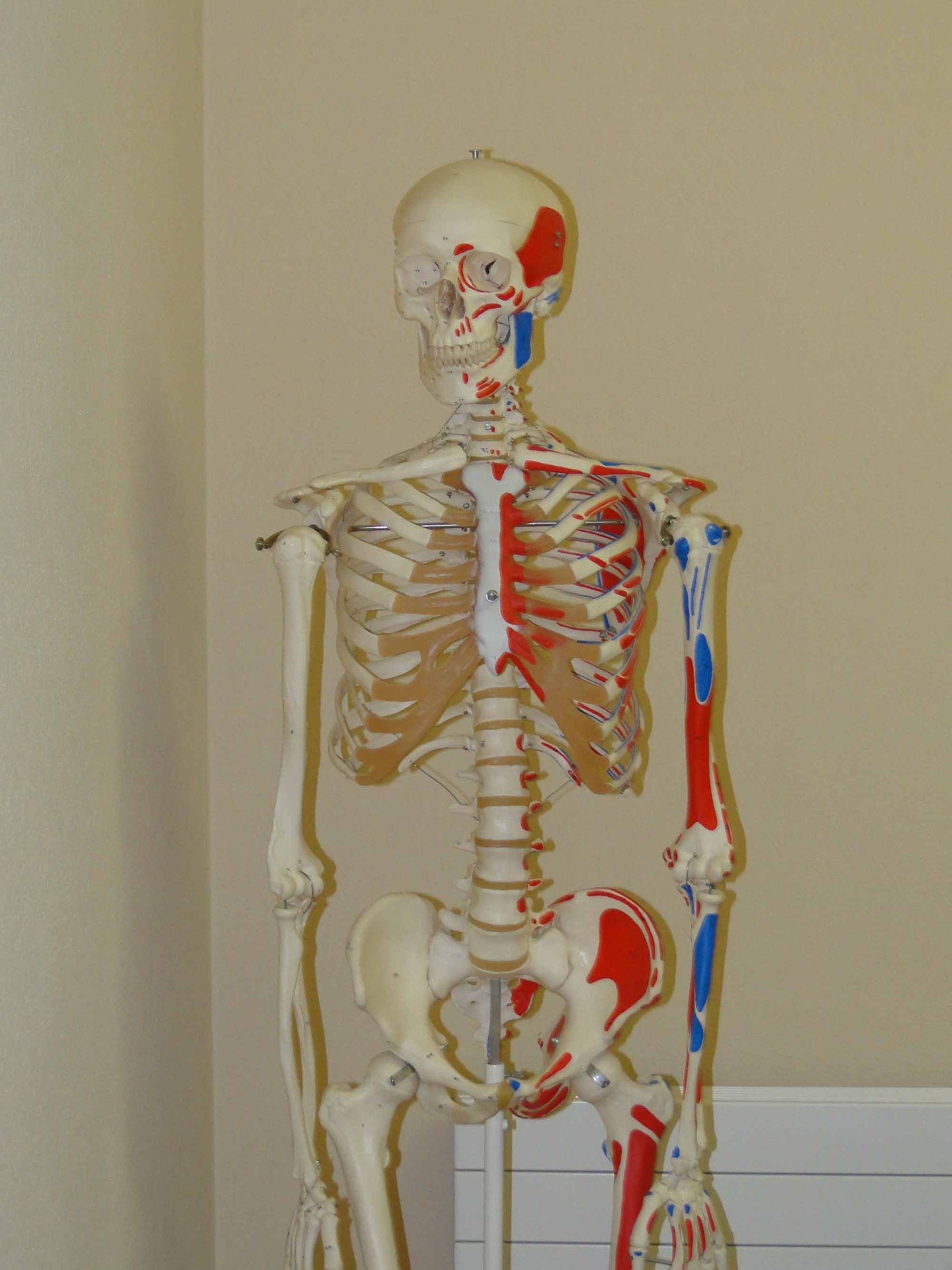 Physiotherapie Zizers Melliger & Andreoli| Zizers