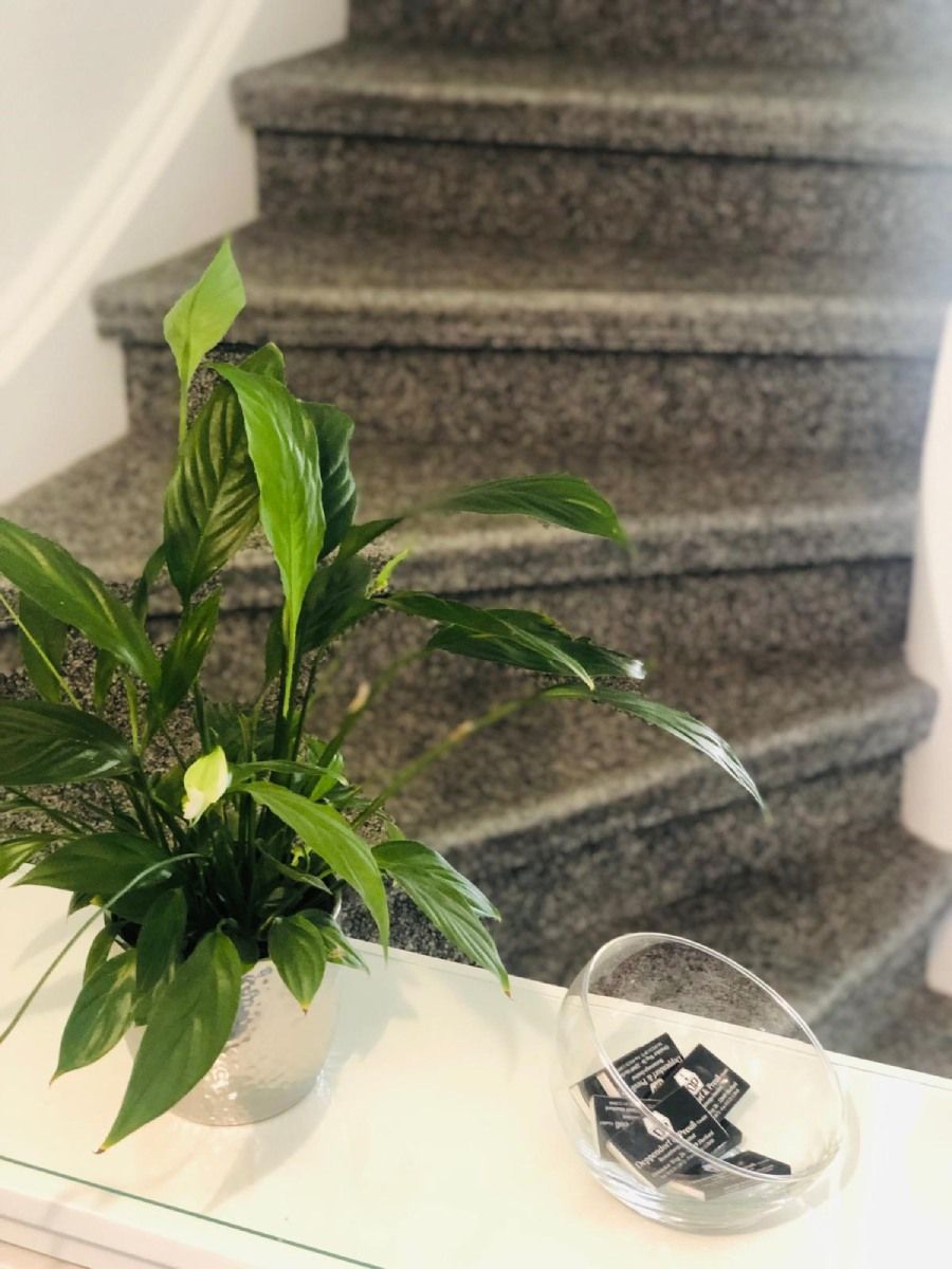 Grünpflanze und Glasschale mit Visitenkarten von Deppendorf & Preuß GmbH