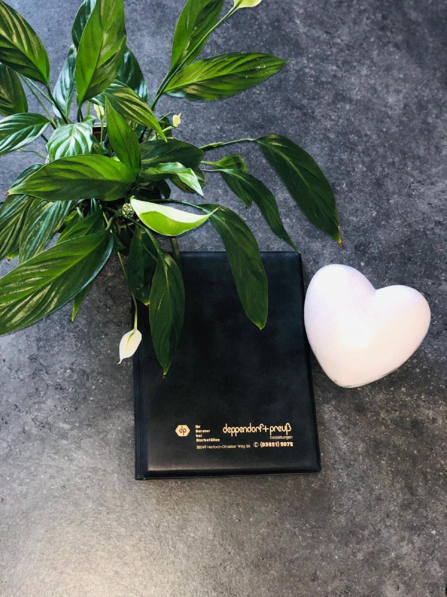 Grünpflanze, weißes Herz und kleines Buch mit Schriftzug von Deppendorf & Preuß GmbH