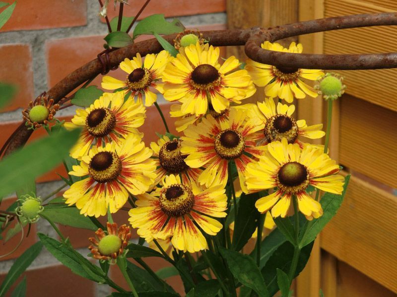 Referenzen Pflanzarbeiten