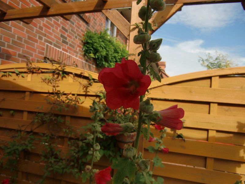 Referenzen Pflanzarbeiten