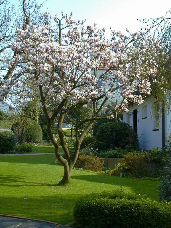 Referenzen Pflanzarbeiten