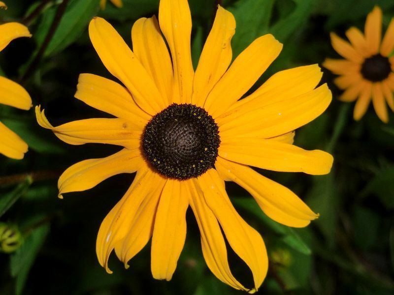 Referenzen Pflanzarbeiten