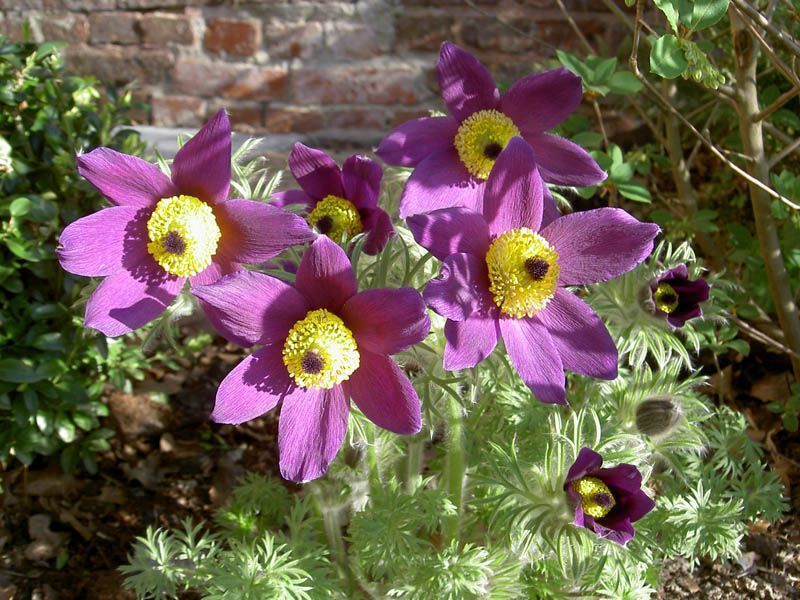 Referenzen Pflanzarbeiten