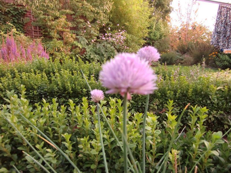 Referenzen Pflanzarbeiten