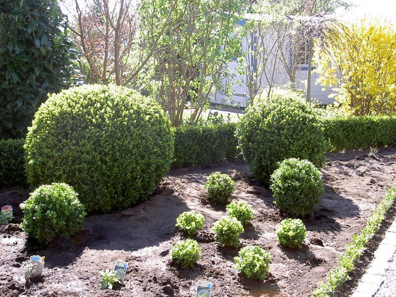 Referenzen Pflanzarbeiten