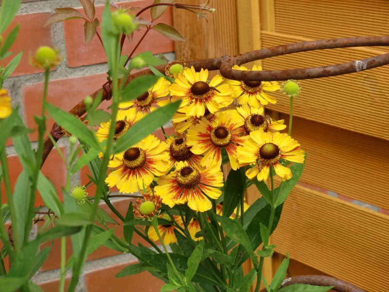 Referenzen Pflanzarbeiten