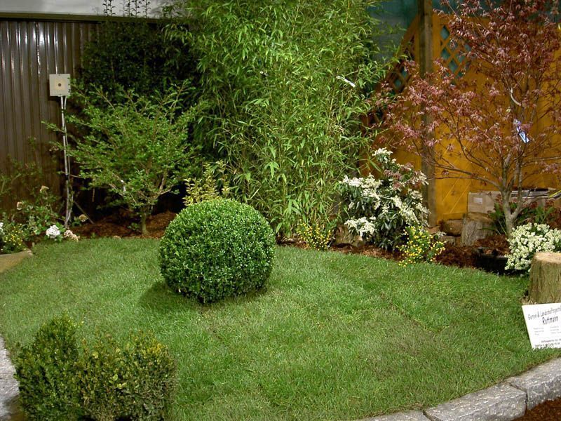 Arbeiten rund um Ihren Rasen