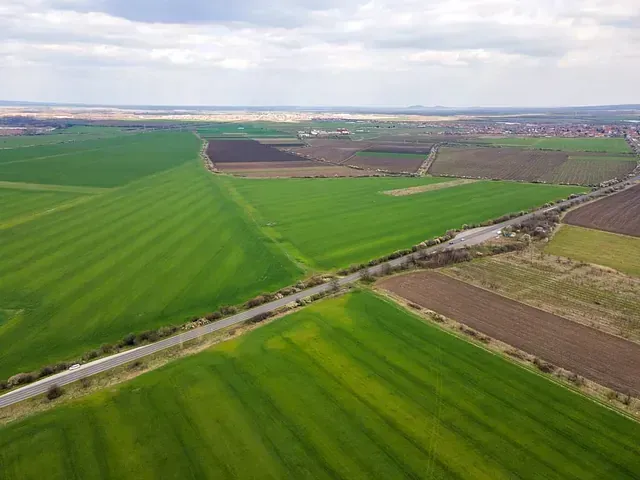 Una vista aérea de un exuberante campo verde con un camino que lo atraviesa.