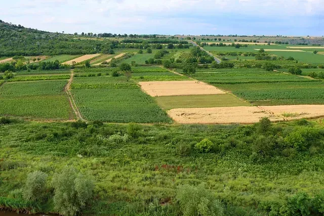 Una vista aérea de un exuberante campo verde con un río al fondo.