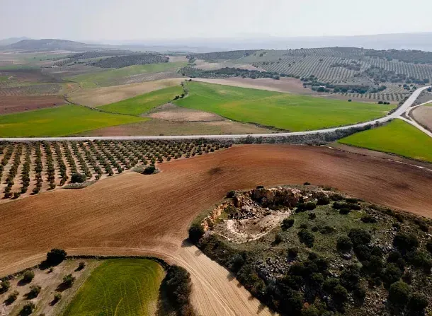 Una vista aérea de un exuberante campo verde con un camino que lo atraviesa.