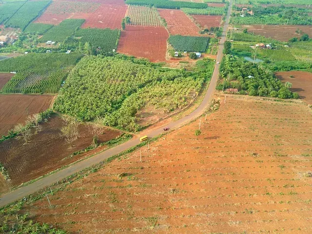 Una vista aérea de una carretera rodeada de campos y árboles.