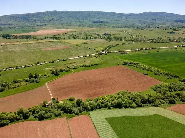 Una vista aérea de un exuberante campo verde con montañas al fondo.