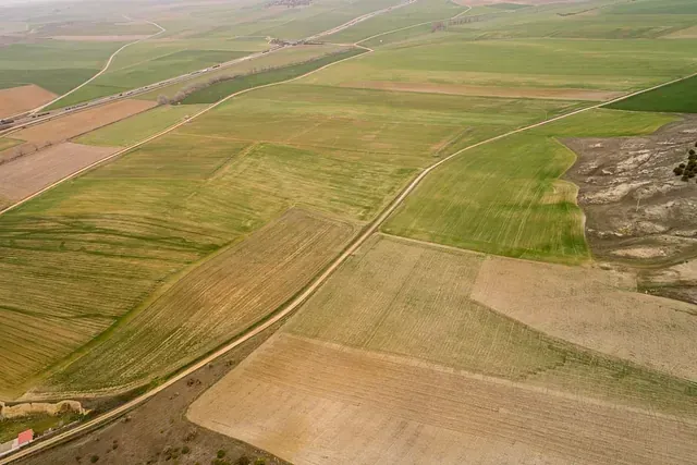 Una vista aérea de un exuberante campo verde con un camino de tierra que lo atraviesa.