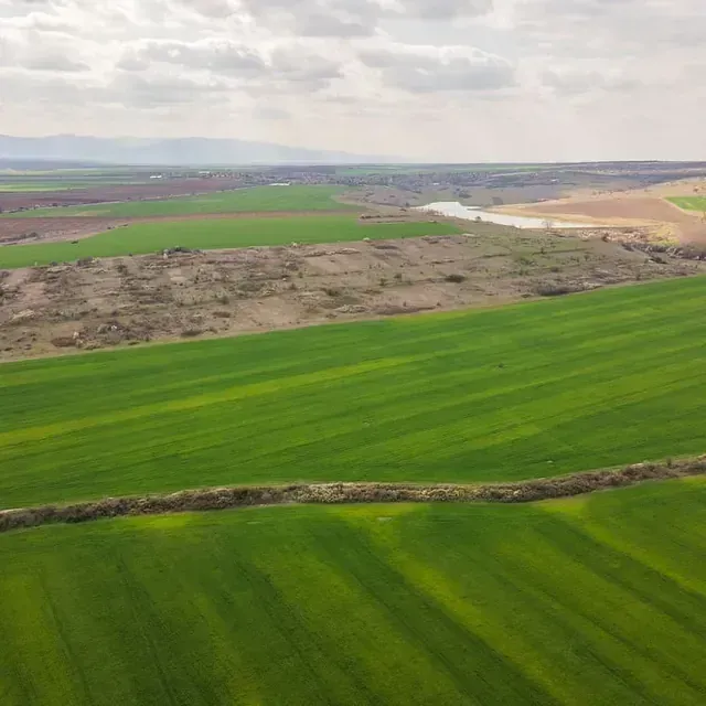 Una vista aérea de un exuberante campo verde con un río al fondo.