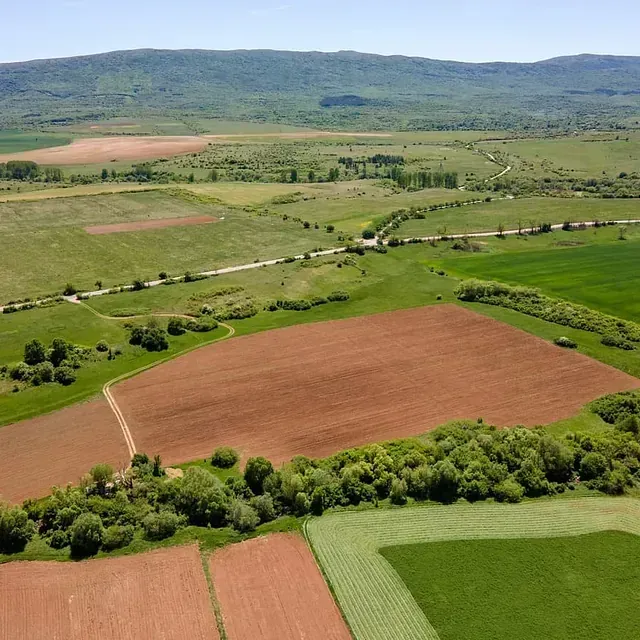 Una vista aérea de un exuberante campo verde con montañas al fondo.