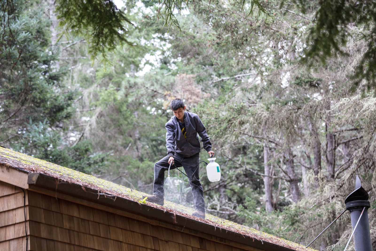 Person standing on a shingled roof in a wooded area, holding a white container and looking down