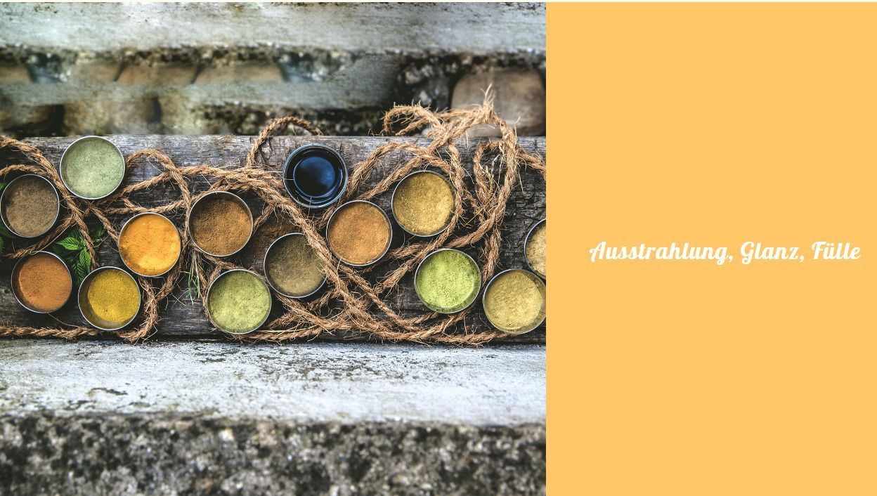 Coiffure Papillon | Fislisbach