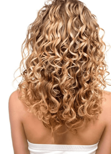 Tierarzt - Coiffure Papillon in Fislisbach