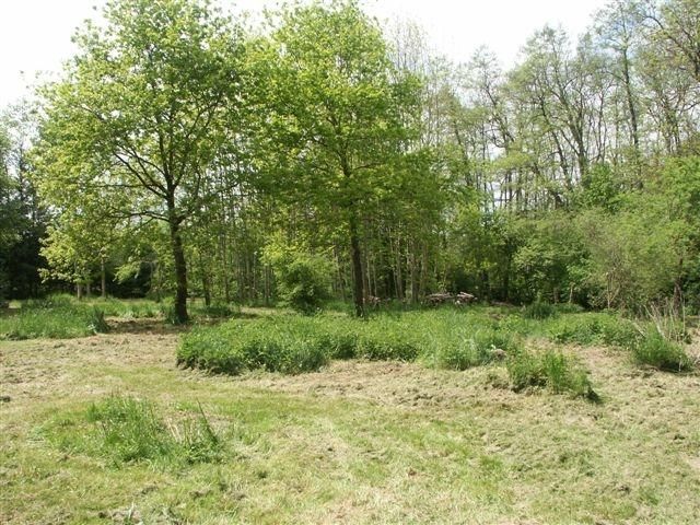 PlantaMed Bolliger - Met-Brauerei