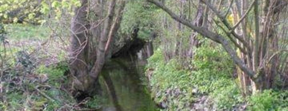 PlantaMed Bolliger - Met-Brauerei