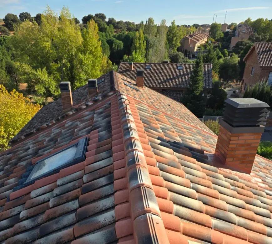 Tejados de tejas con chimeneas, tragaluz y árboles al fondo. Un día soleado y brillante.