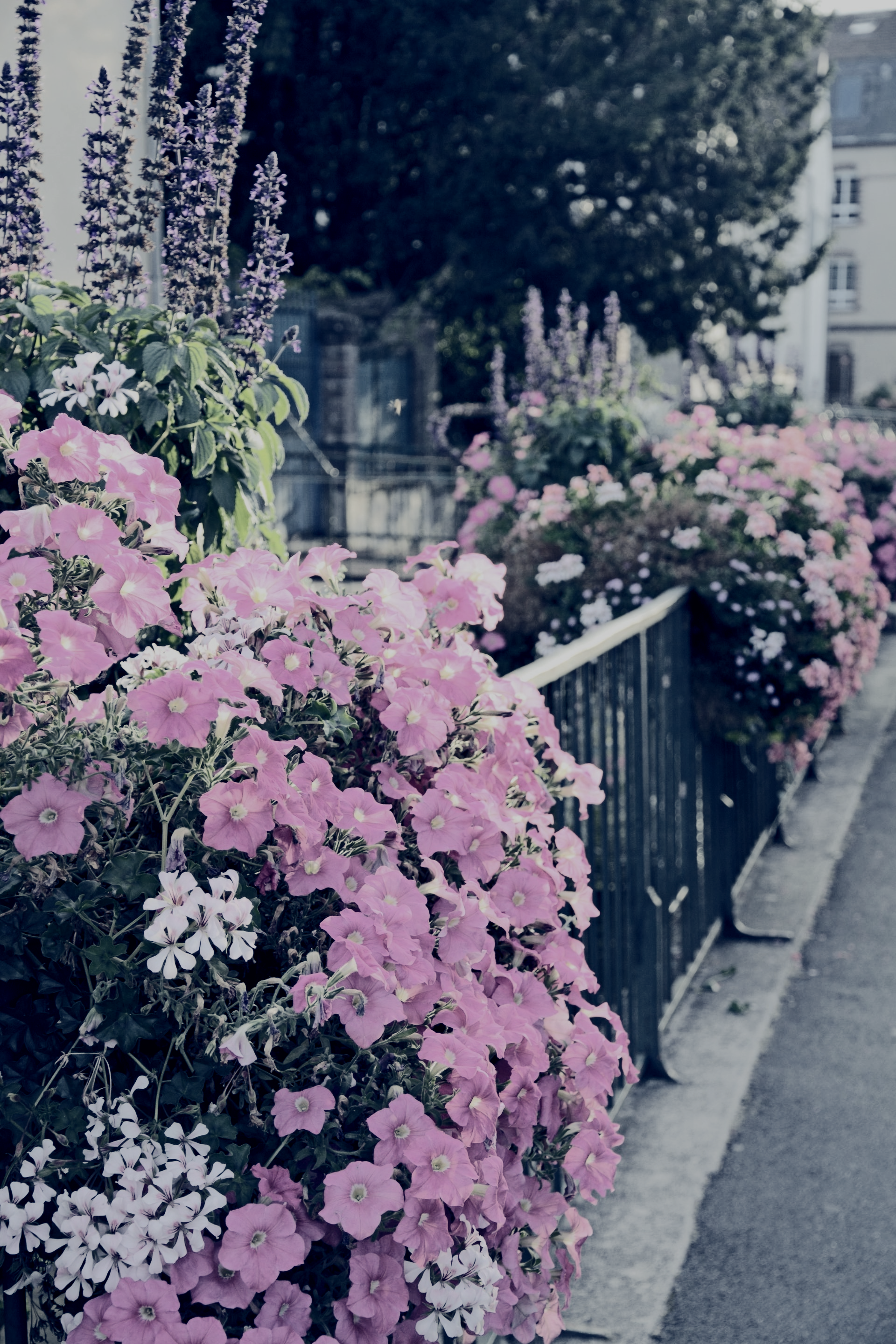 Vers la page Champagne-sur-Seine