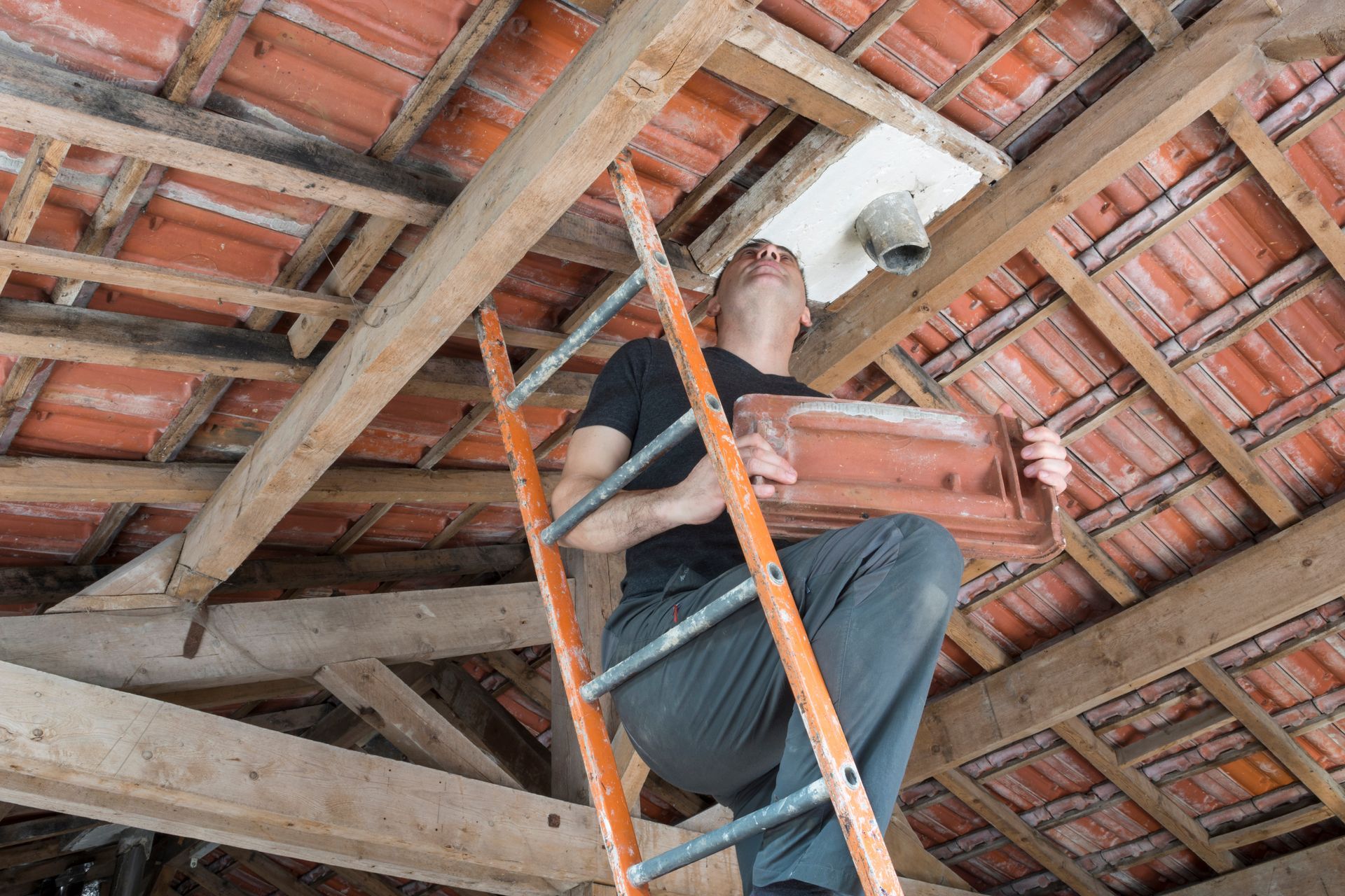 Un homme sur une échelle tient une tuile, travaillant dans un grenier à charpente en bois et à tuiles rouges.