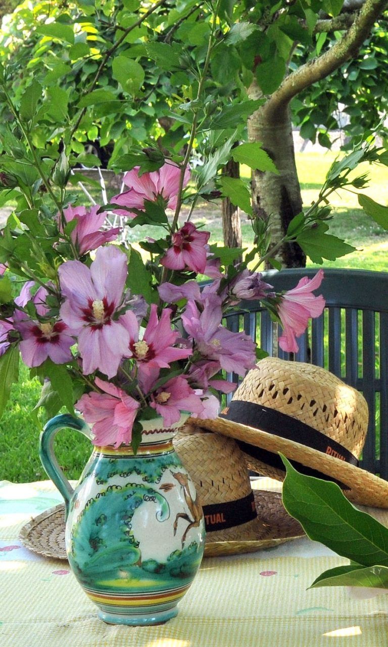 Un jarrón de flores rosas reposa sobre una mesa junto a un sombrero de paja.