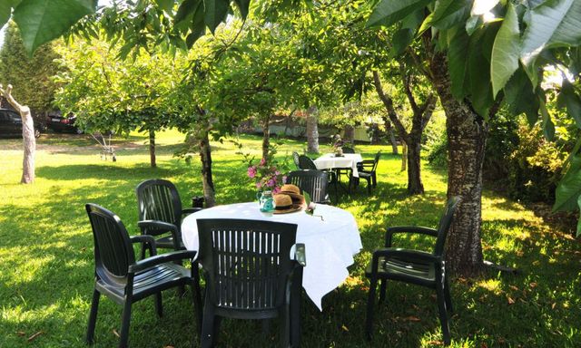 Una mesa y sillas están sentadas debajo de un árbol en un jardín.