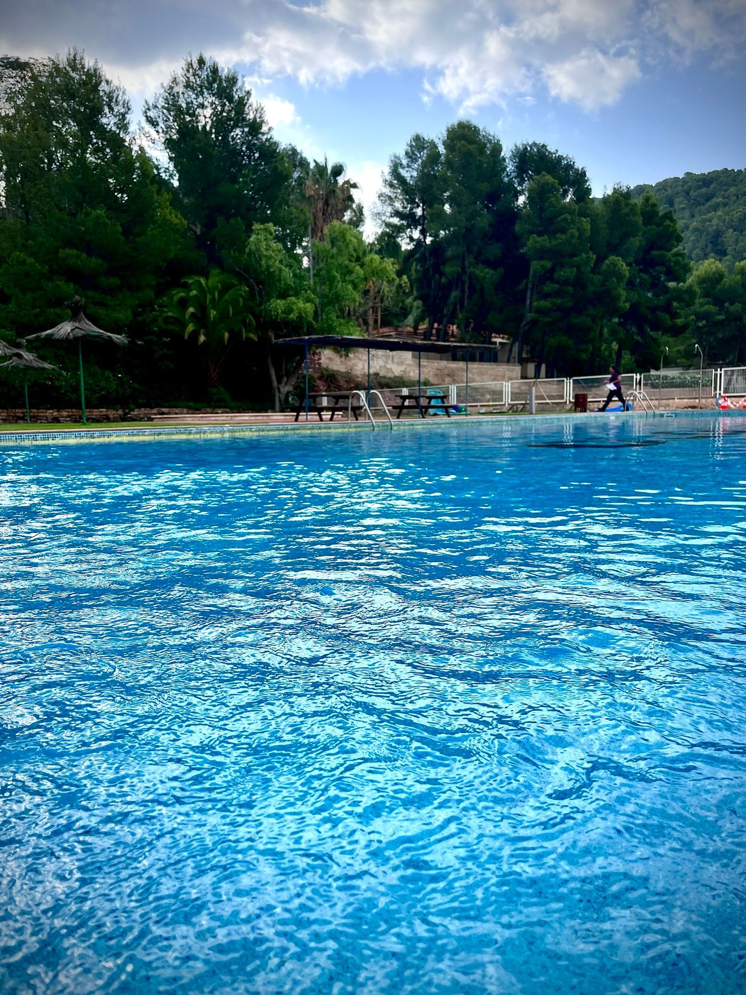 Piscina azul con agua ondulante, árboles y un trampolín al fondo bajo un cielo nublado.