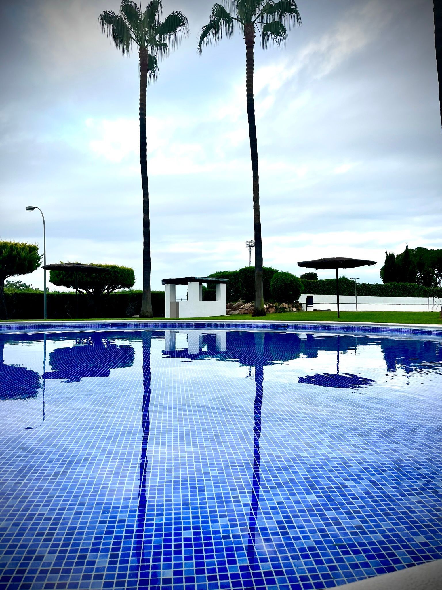Piscina con azulejos azules, altas palmeras y sus reflejos bajo un cielo nublado.