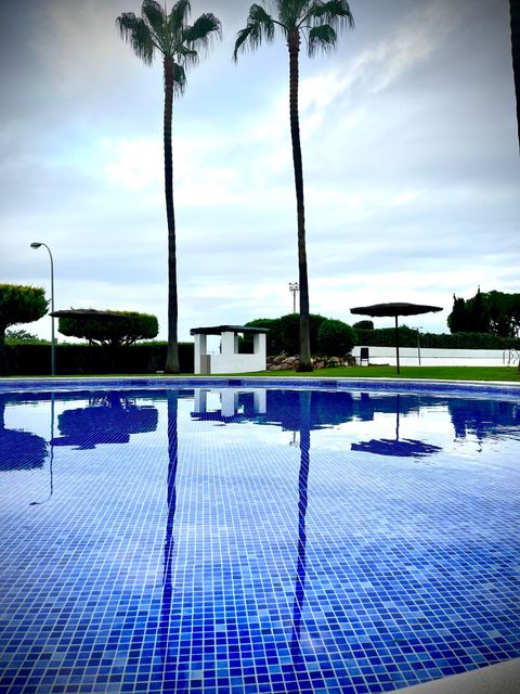 Piscina con azulejos azules, altas palmeras y sus reflejos bajo un cielo nublado.