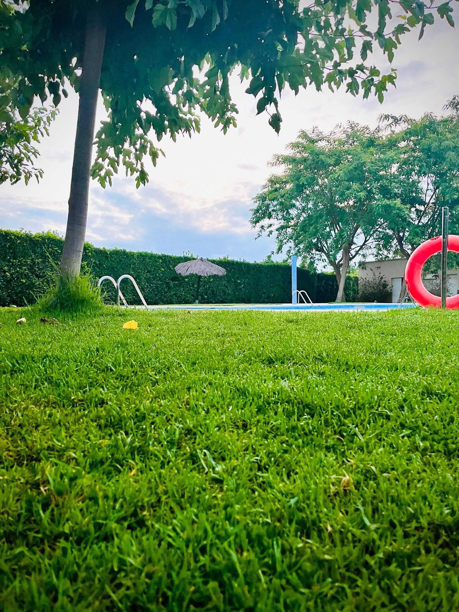 Césped de parque con árboles, un seto y una estructura de juegos infantil roja en forma de anillo al fondo.