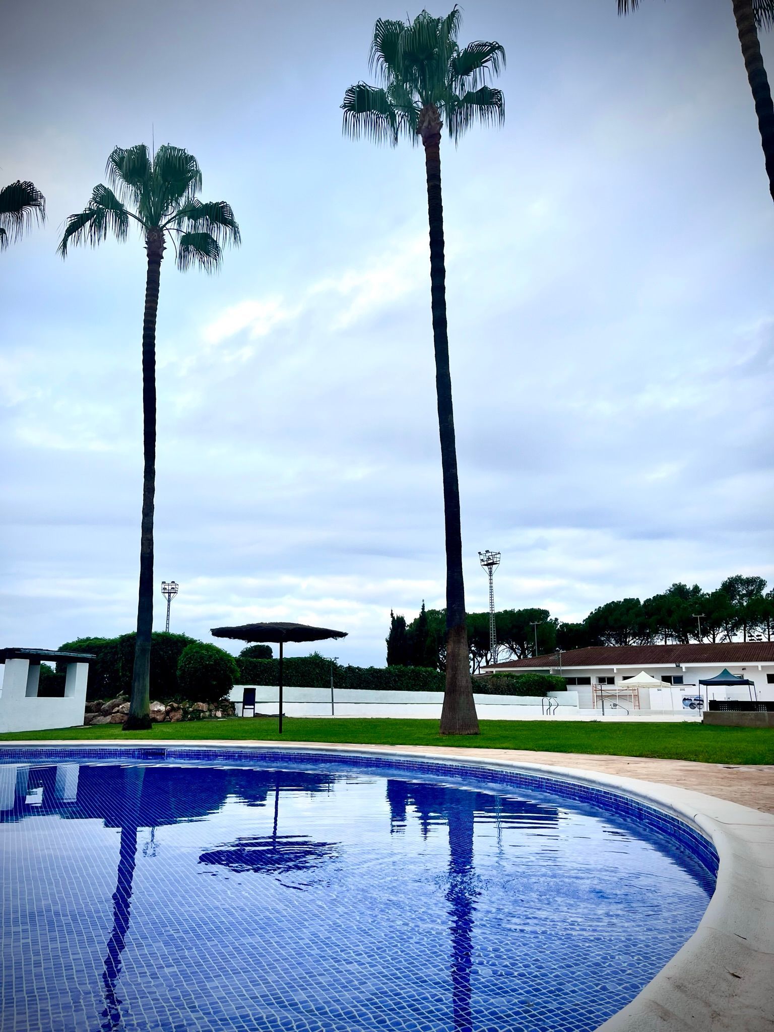Piscina con azulejos azules, altas palmeras y cielo nublado reflejado en el agua.