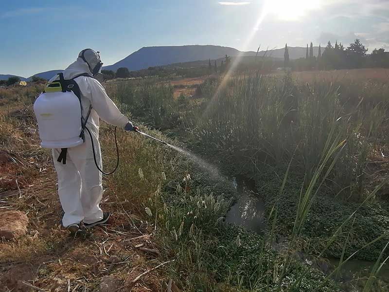 Καταπολέμηση κουνουπιών σε ρέματα