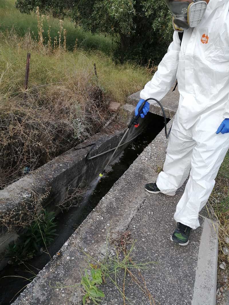 Καταπολέμηση κουνουπιών σε ρέματα