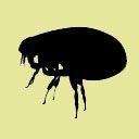 Ολοκλ. Διαχείριση Παρασίτων (IPM)