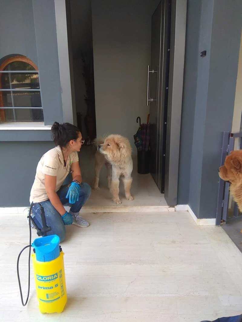 Απεντόμωση με ασφαλή σκευάσματα