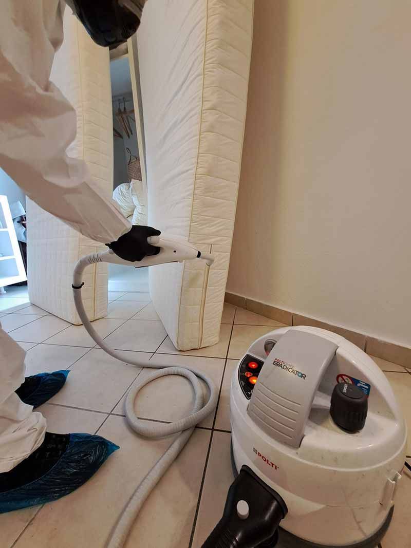 καταπολέμηση κοριών με υπέρθερμο ατμό σε Airbnb