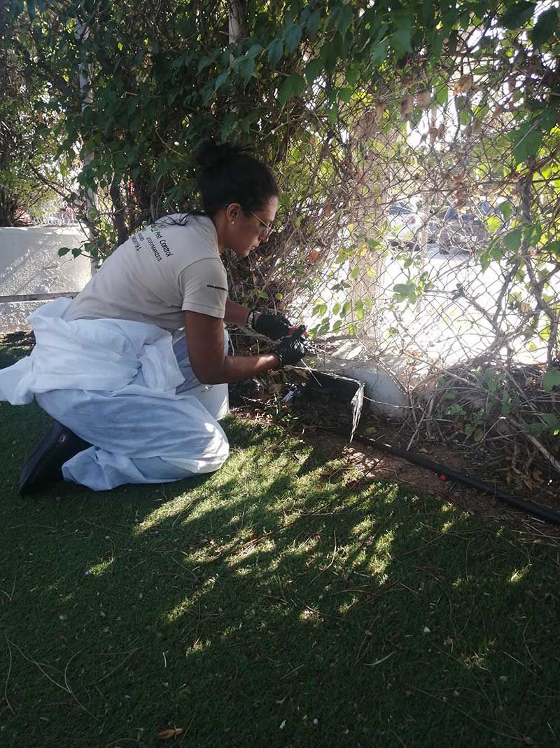 Αναδόλωση δολωματικού σταθμού