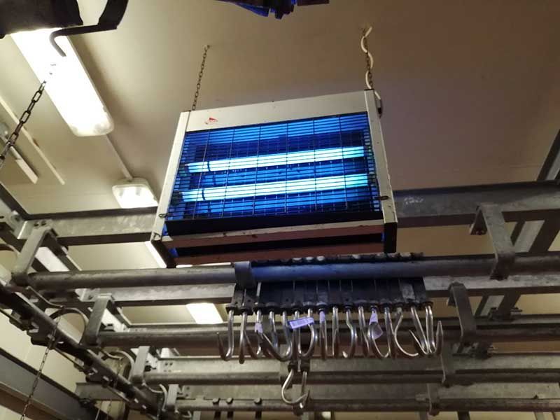 Ηλεκτρική εντομοπαγίδα