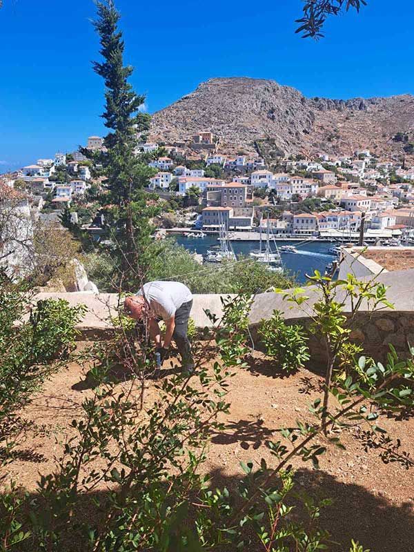 Έγχυση τερμιτοκτόνου σκευάσματος σε κήπο εξοχικής κατοικίας στην Ύδρα